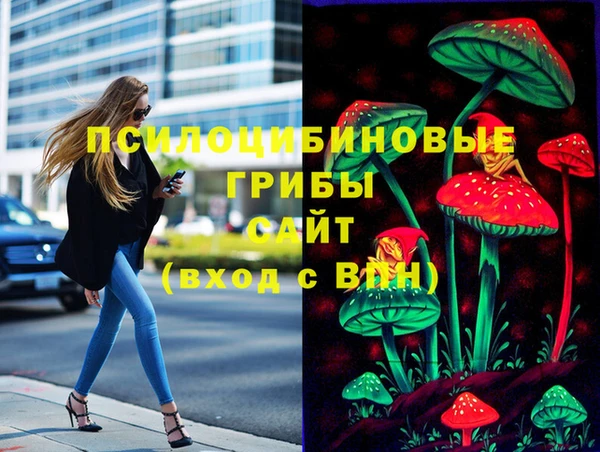 молекула духа Армянск